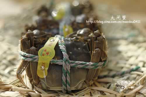 ������բз�����������ʼҳ��ˣ�