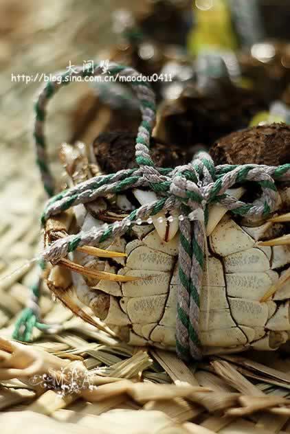 ������բз�����������ʼҳ��ˣ�