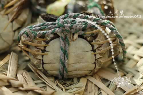 ������բз�����������ʼҳ��ˣ�