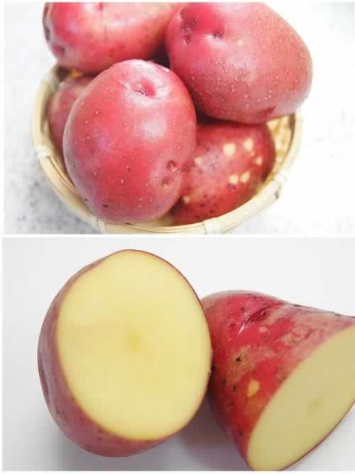 ��ʽţ�������������������ش��䣩