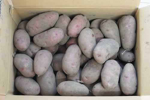 ��ʽţ�������������������ش��䣩