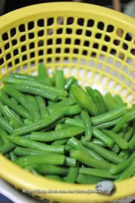 魲˸��Զ��ǵ��������زˣ�