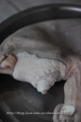 �ڽ����ǰ׹��������������-һ�Ƕ���Ŷ��