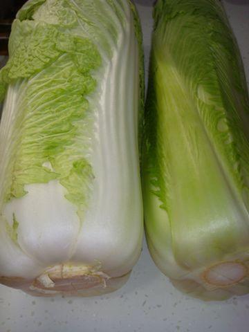 ���Ǽ�����ײ˵��������زˣ�