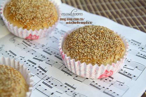 ե�����������������Ͳ��ף�