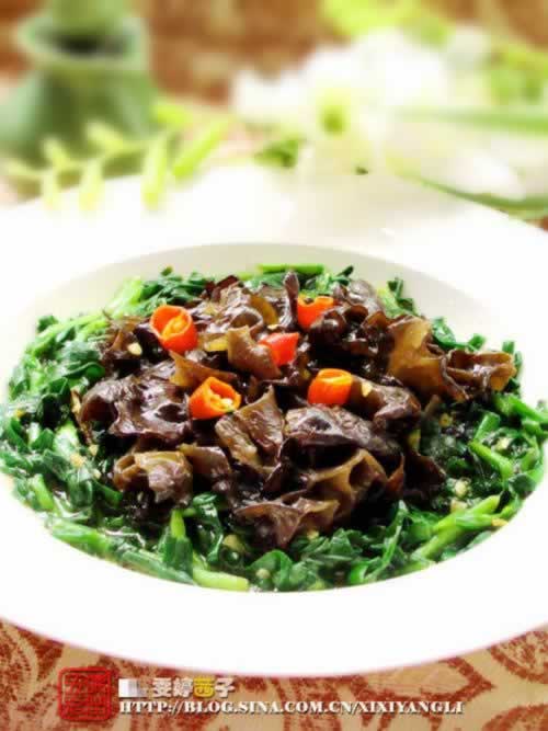 ��ľ���²˵��������ز�-��ҩ���߲ˡ����������ò����峦�Ĺ�Ч�ӱ���