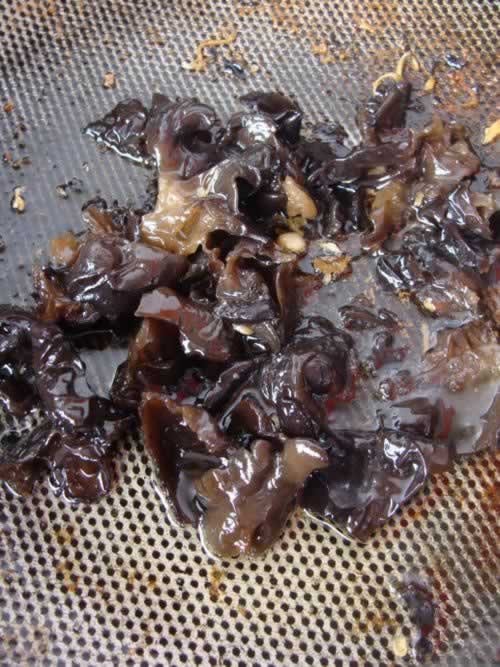 ��ľ���²˵��������ز�-��ҩ���߲ˡ����������ò����峦�Ĺ�Ч�ӱ���