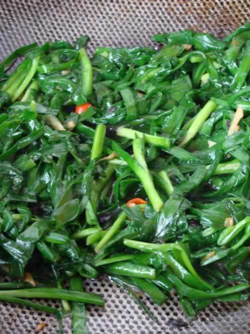 ��ľ���²˵��������ز�-��ҩ���߲ˡ����������ò����峦�Ĺ�Ч�ӱ���