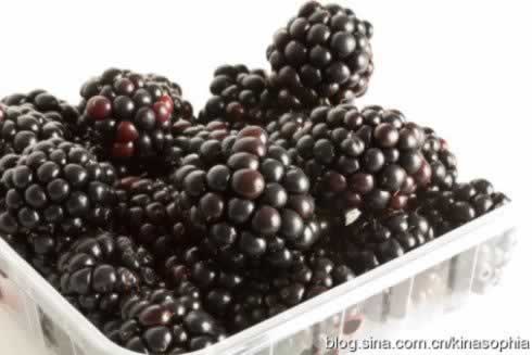 ��ʦ����ݮ������ͽ���ܽ����������ŷ������㣩