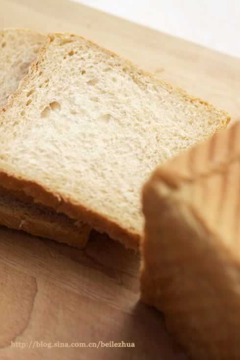 ����ȫ����˾����ǹ�������Σ���������Ӫ������ζ�Ľ�����ͣ�