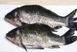 ������������������-������ů���ˣ�