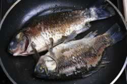 ������������������-������ů���ˣ�