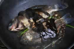 ������������������-������ů���ˣ�