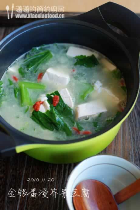 ����������˶������������ز�-��������˶�������