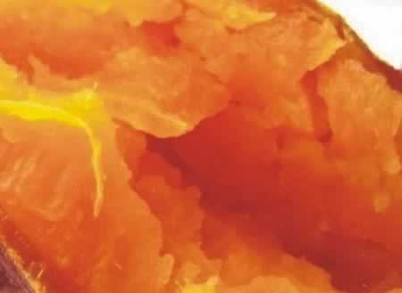 ���俾������������������ף�