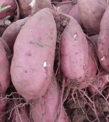 ���俾������������������ף�