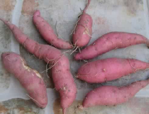 ���俾������������������ף�