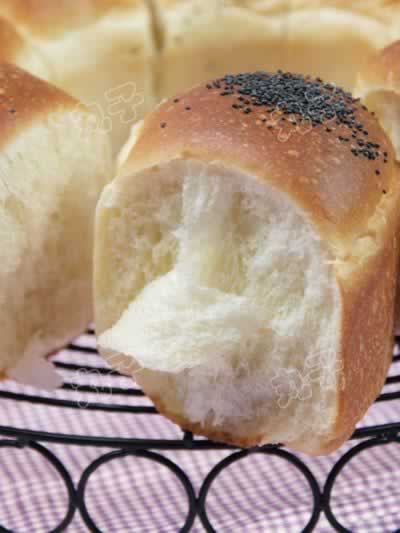 �㽶�����������������Ͳ��ף�