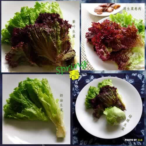 ���˾������������ˣ�