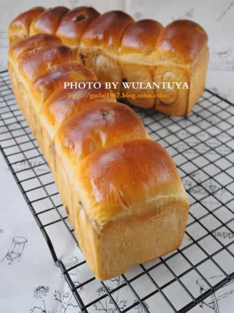 ���Ѹɰ���˾����������Ͳ��ף�