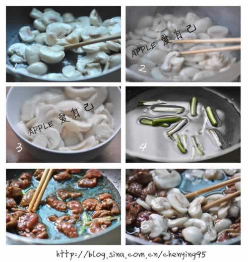 ����Ģ��ţ������������-�����γ������۵�ţ���ؾ���