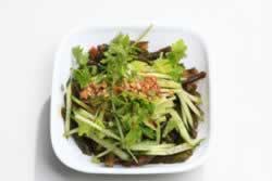 �����ϼ�����������������ʳ����-ȫ�������Ŷ�����ʥƷ���ȣ�