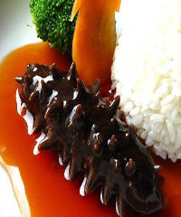 ���մ̲ε�����