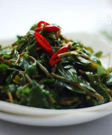 ���������ȵ�����