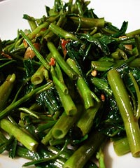 ��������Ĳ˵�����