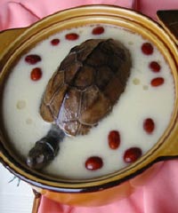 ������������