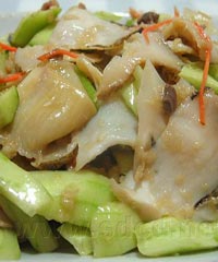 �躣�ݵ�����