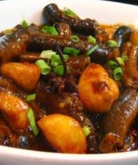 ����Ƭ������