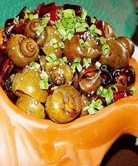 �����ݵ�����