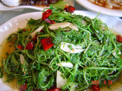 �ܲ����Ӫ����ֵ