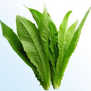 ����ʱ��Ӧʱ��