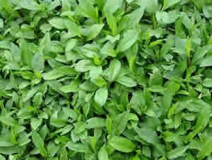 ����ʱ��Ӧʱ��