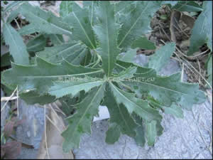 ����ʱ��Ӧʱ��