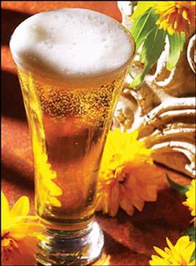 �����߸ú�ʲôơ��