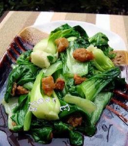 ��������������� �������������ô��