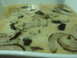 �㹽�������������� �㹽����������ô��������