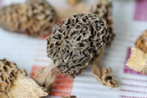 ���Ģ����������(���䶫����)