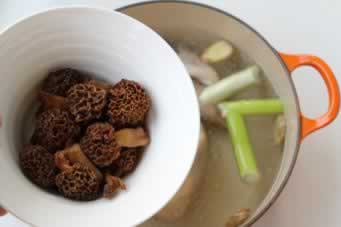 ���Ģ����������(���䶫����)