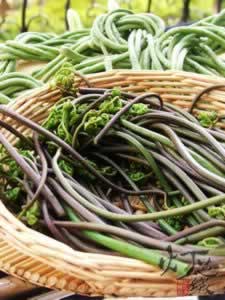 ާ�˸ɻ���������������(���ش���)