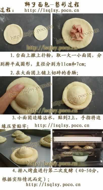 ����ʨ���������������Ͳ��ף�