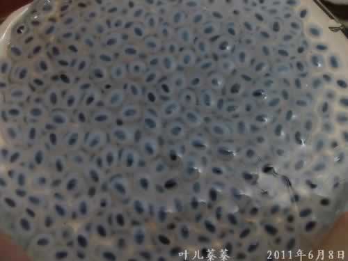 ôô���������������ս�����Ʒ��