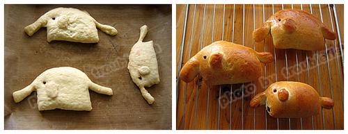 ���۶�ɳ��������