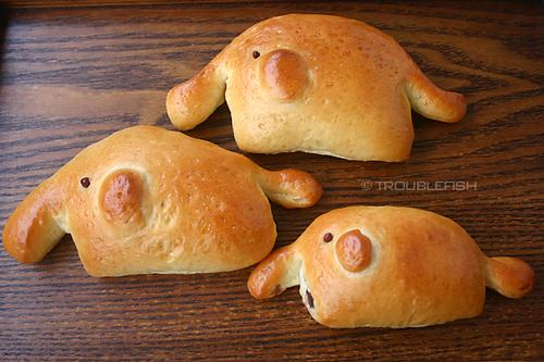 ���۶�ɳ��������