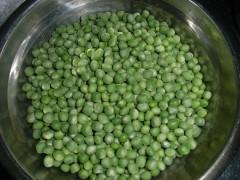 �㶹������������ģ�