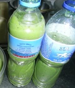 �㶹������������ģ�