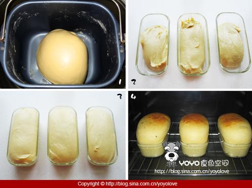 �ƽ�֥ʿ���������